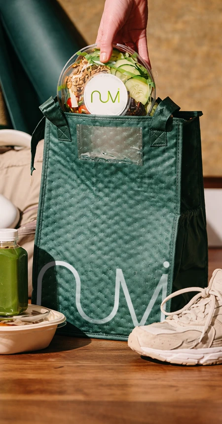 Nuvi delivery bag and meal package