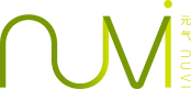 Nuvi logo